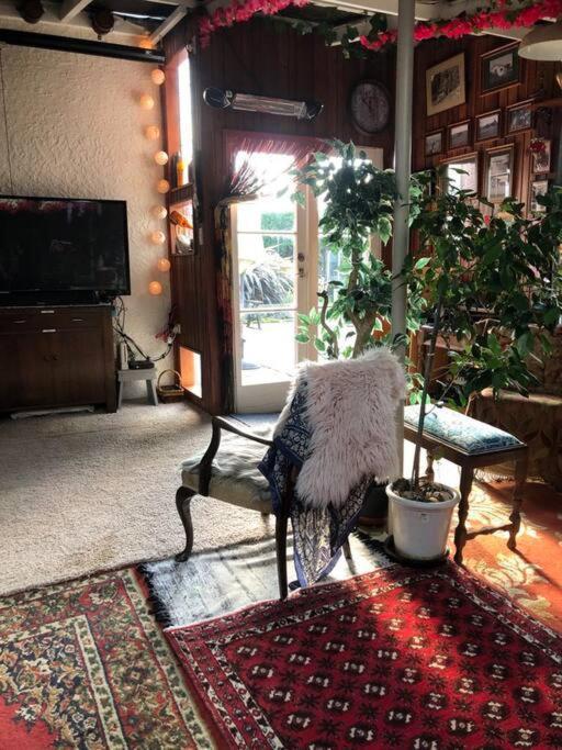 LeestonFantail At Bluestone Retreat别墅 外观 照片